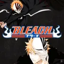 Bleach: Ficha