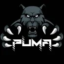 RECRUTAMENTO PUMA GAMING