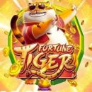 Tiger fortune pro premium