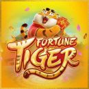 TIGER FORTUNE ESTRATEGIAS 2.0