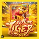 FORTUNE TIGER j VIP