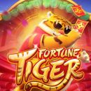 🐯GRUPO SINAIS FORTUNE TIGER 🐯