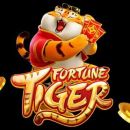 Fortune Tiger