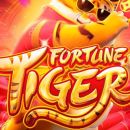 🎰TIGRE [VIP]🐯FALINDO CASINOS💸