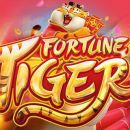 Fortune tiger