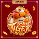 ROBÔ FORTUNE TIGER🐯| SUPREME💎