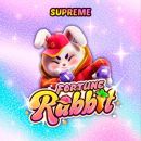 ROBÔ FORTUNE RABBIT🐇 | SUPREME💎