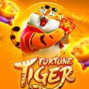 Fortune tiger - Matheus