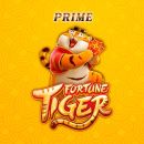 ROBÔ FORTUNE TIGER PRIME🐯