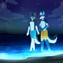 Furry Beach :3