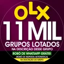 56 OLX GOIÂNIA GO